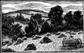 wood-engraving original print: June for Time and Tide calendar